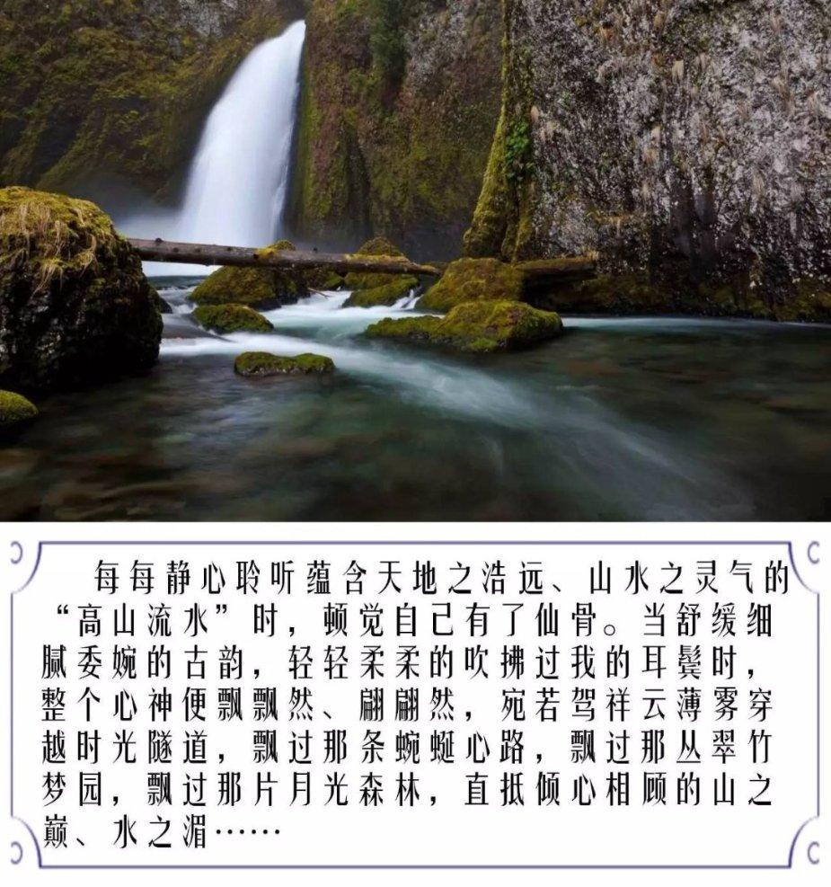 我的矿场